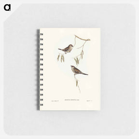 アートメモ帳-Plain-coloured Finch
 - ジョン グールド Memo.