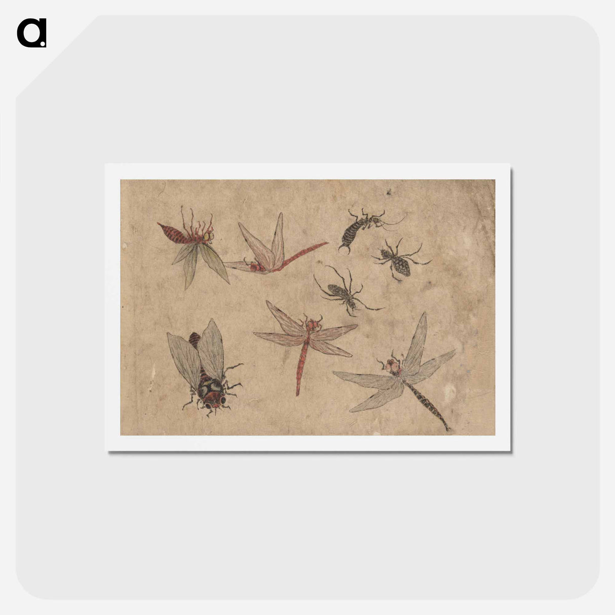 アートポストカード-Album of Sketches by Katsushika Hokusai and His Disciples - 葛飾 北斎 Postcard.