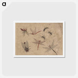 アートポストカード-Album of Sketches by Katsushika Hokusai and His Disciples - 葛飾 北斎 Postcard.