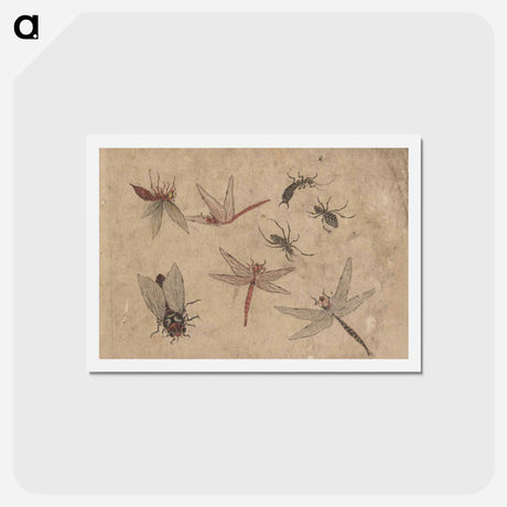 アートポストカード-Album of Sketches by Katsushika Hokusai and His Disciples - 葛飾 北斎 Postcard.