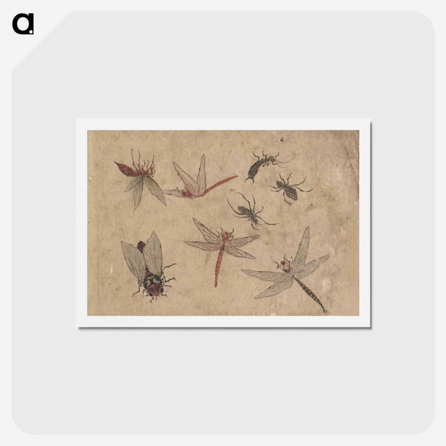 アートポストカード-Album of Sketches by Katsushika Hokusai and His Disciples - 葛飾 北斎 Postcard.