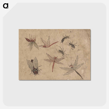 アートポストカード-Album of Sketches by Katsushika Hokusai and His Disciples - 葛飾 北斎 Postcard.