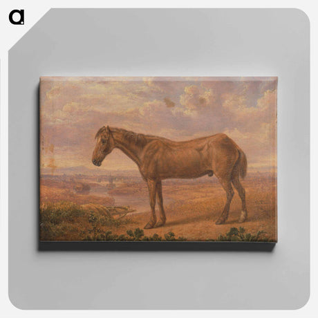アートパネル-Old Billy, a Draught Horse, Aged 62
 - イェール大学アートギャラリー Canvas.