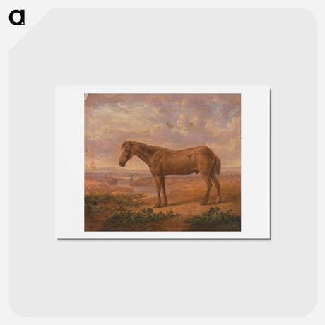 アートポストカード-Old Billy, a Draught Horse, Aged 62
 - イェール大学アートギャラリー Postcard.