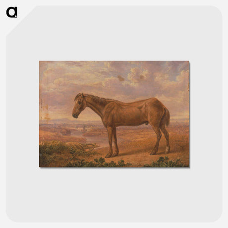 アートポストカード-Old Billy, a Draught Horse, Aged 62
 - イェール大学アートギャラリー Postcard.