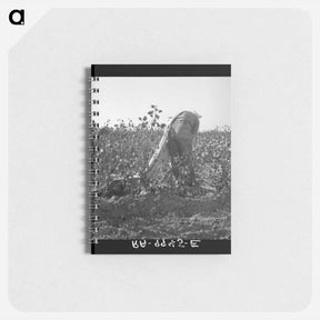 アートメモ帳-Cotton picker - ドロテア ラング Memo.
