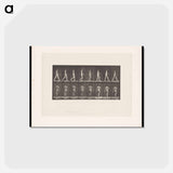 アートポストカード-Naked Man Walking
 - エドワード マイブリッジ Postcard.