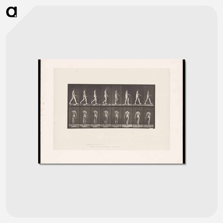 アートポストカード-Naked Man Walking
 - エドワード マイブリッジ Postcard.