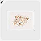 アートポストカード-Head of a rigged horse - ジャン ベルナール Postcard.