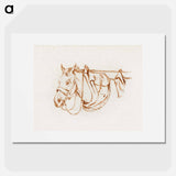 Head of a rigged horse - ジャン ベルナール Poster.