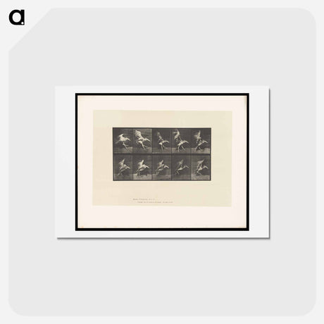 アートポストカード-Stork in Motion
 - エドワード マイブリッジ Postcard.