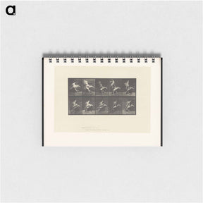 アートメモ帳-Stork in Motion
 - エドワード マイブリッジ Memo.