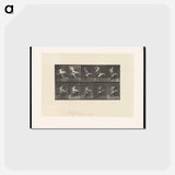 アートポストカード-Stork in Motion
 - エドワード マイブリッジ Postcard.