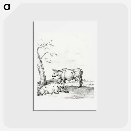 アートポストカード-Standing and lying cow - ジャン ベルナール Postcard.