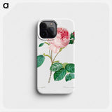 Cabbage rose - Pierre Joseph Redouté Phone Case.