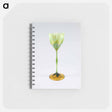 アートメモ帳-Vase
 - セントルイス美術館 Memo.