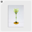 アートポストカード-Vase
 - セントルイス美術館 Postcard.