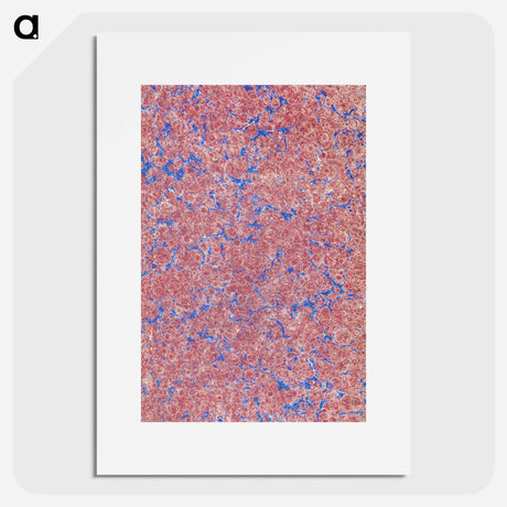 アートポスター-Decorative Paper From Praktisches Handbuch der historischen Chronologie
 - 大英図書館 Poster.