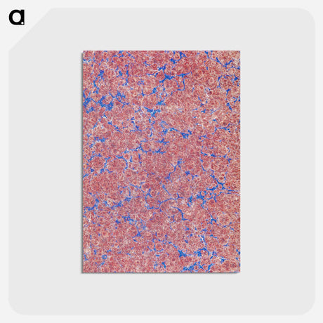 アートポストカード-Decorative Paper From Praktisches Handbuch der historischen Chronologie
 - 大英図書館 Postcard.