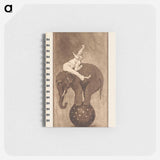アートメモ帳-Cleveland Museum of Art
 - クリーブランド美術館 Memo.