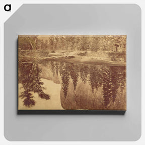 アートパネル-Tutokanula. Valley of the Yosemite
 - エドワード マイブリッジ Canvas.