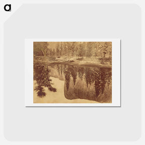 アートポストカード-Tutokanula. Valley of the Yosemite
 - エドワード マイブリッジ Postcard.