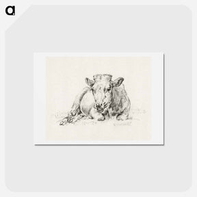 アートポストカード-Lying cow Jean Bernard, after Adriaen van de Velde - ジャン ベルナール Postcard.