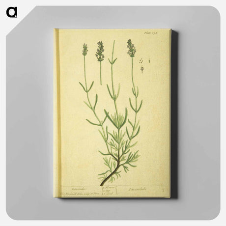 アートパネル-Lavendula
 - 国立医学図書館 Canvas.