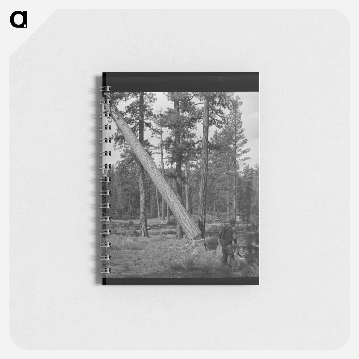 アートメモ帳-Cattle Truck, San Angelo
 - ラッセル リー Memo.