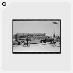 アートポストカード-Cattle Truck, San Angelo
 - ラッセル リー Postcard.