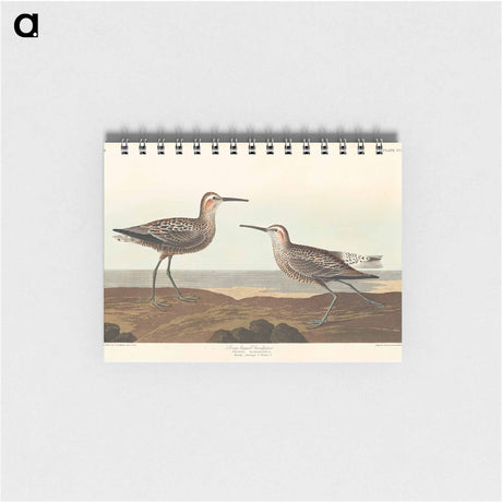 アートメモ帳-Long-legged Sandpiper from Birds of America
 - アメリカの鳥たち Memo.