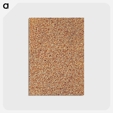 アートポストカード-Decorative Paper from Histoire de la Belgique
 - 大英図書館 Postcard.