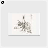 アートポストカード-Head of a cow, lying in a stable - ジャン ベルナール Postcard.