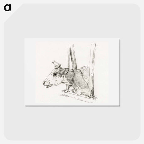 アートポストカード-Head of a cow, lying in a stable - ジャン ベルナール Postcard.