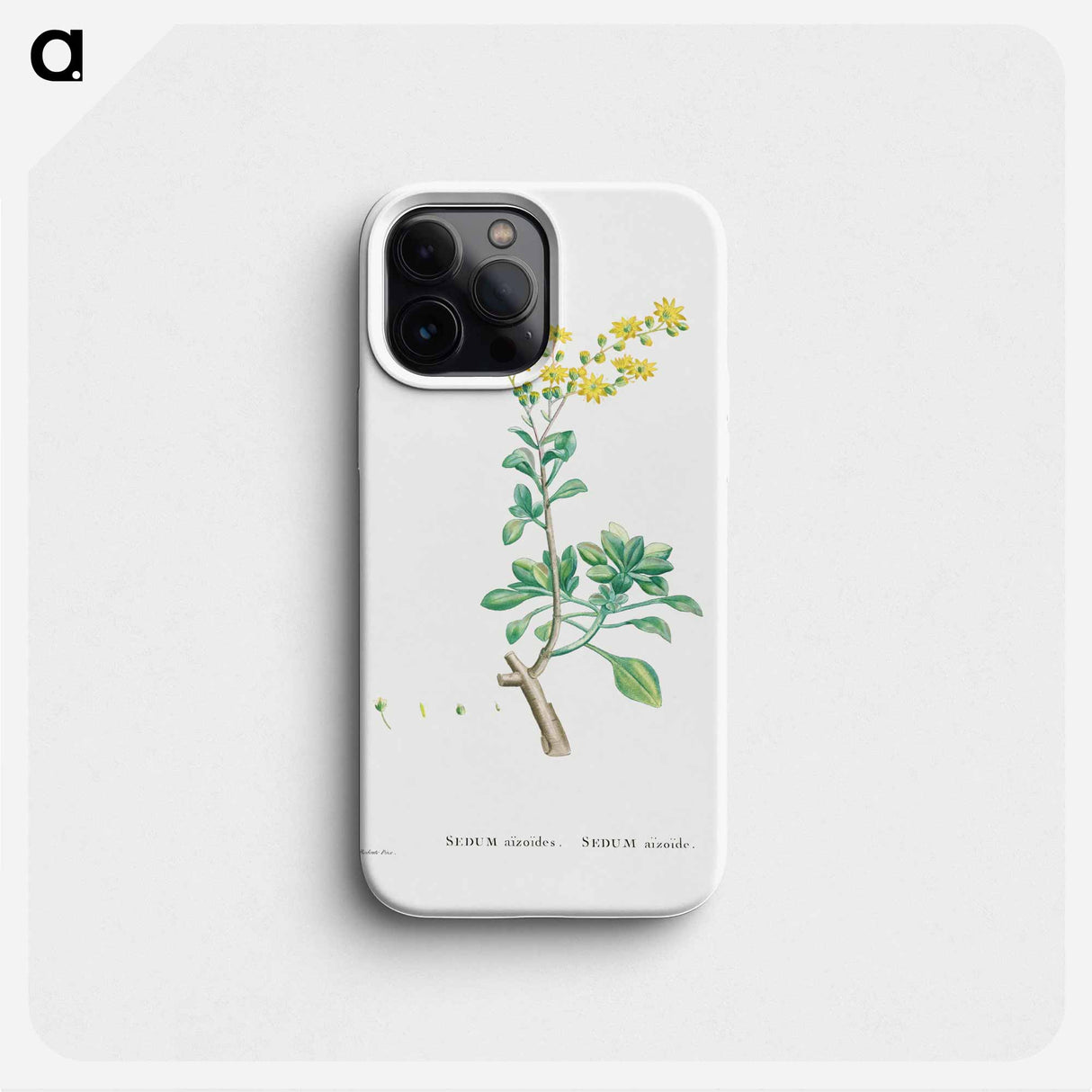 Sedum Aizoides (Yellow Saxifrages) - Pierre Joseph Redouté Phone Case.