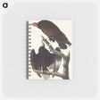 アートメモ帳-Turkey Buzzard from Birds of America
 - アメリカの鳥たち Memo.