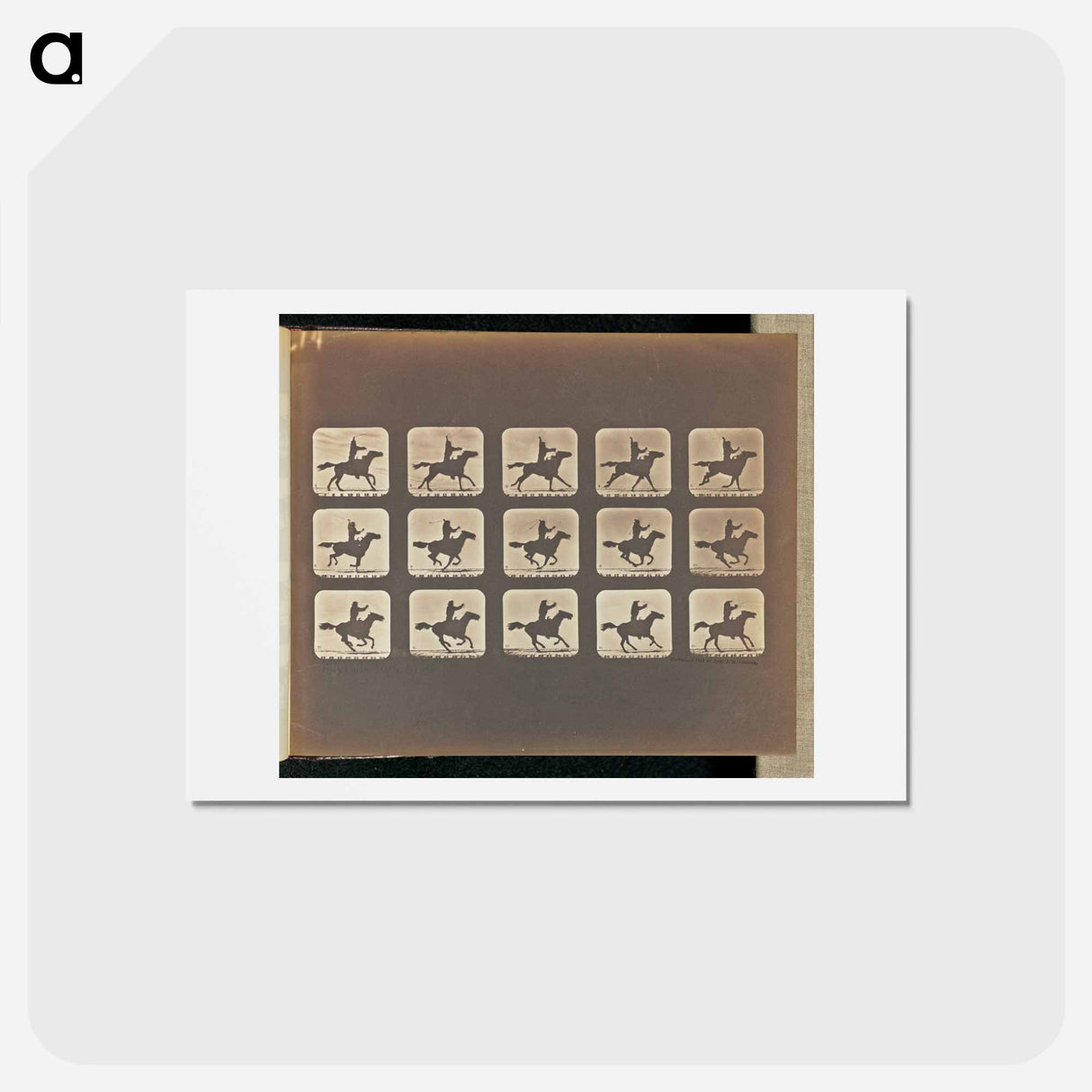 アートポストカード-Mexican with Riata
 - エドワード マイブリッジ Postcard.