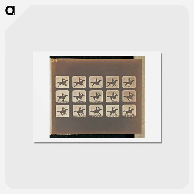 アートポストカード-Mexican with Riata
 - エドワード マイブリッジ Postcard.