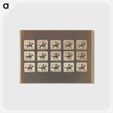 アートポストカード-Mexican with Riata
 - エドワード マイブリッジ Postcard.