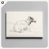 アートパネル-Lying sheep - ジャン ベルナール Canvas.