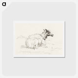 アートポストカード-Lying sheep - ジャン ベルナール Postcard.