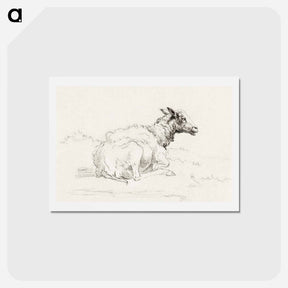 アートポストカード-Lying sheep - ジャン ベルナール Postcard.