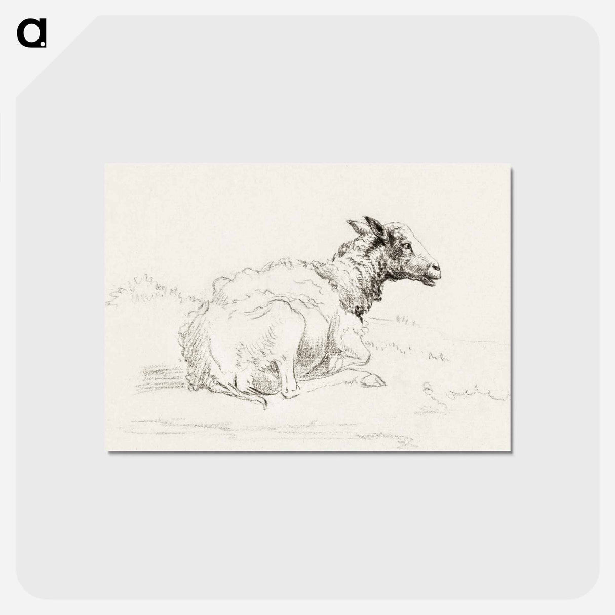 アートポストカード-Lying sheep - ジャン ベルナール Postcard.