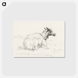 アートポストカード-Lying sheep - ジャン ベルナール Postcard.
