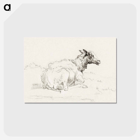 アートポストカード-Lying sheep - ジャン ベルナール Postcard.
