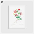 アートポストカード-Broad leaved anemone - ピエール ジョゼフ ルドゥーテ Postcard.