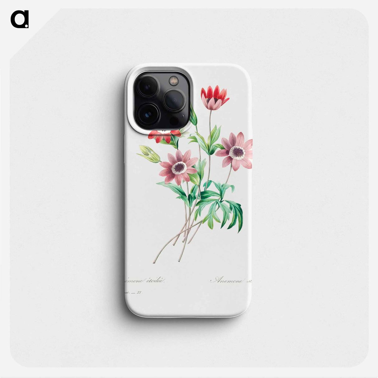 Broad leaved anemone - ピエール ジョゼフ ルドゥーテ Phone Case.