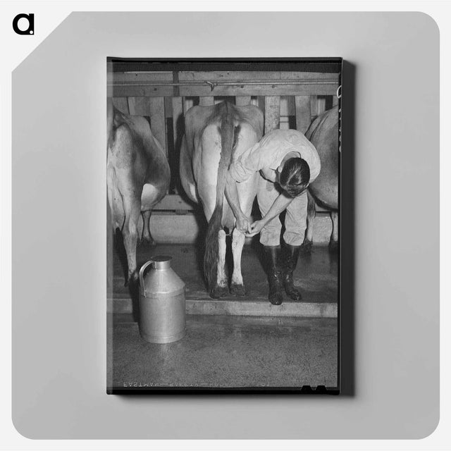 アートパネル-Tillamook Cheese Aging
 - ラッセル リー Canvas.