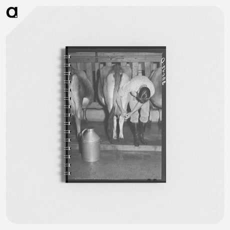 アートメモ帳-Tillamook Cheese Aging
 - ラッセル リー Memo.