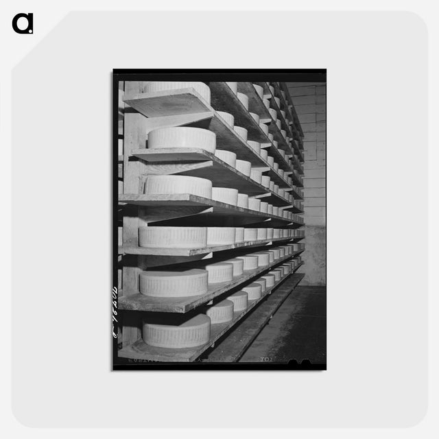 アートポストカード-Tillamook Cheese Aging
 - ラッセル リー Postcard.